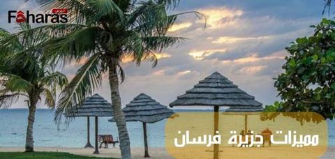معلومات عن جزيرة فرسان؛ مالديف السعودية الساحرة