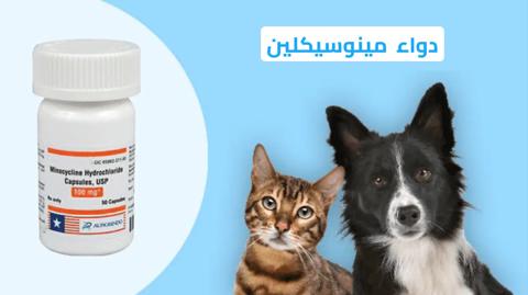 دواء مينوسيكلين للكلاب والقطط