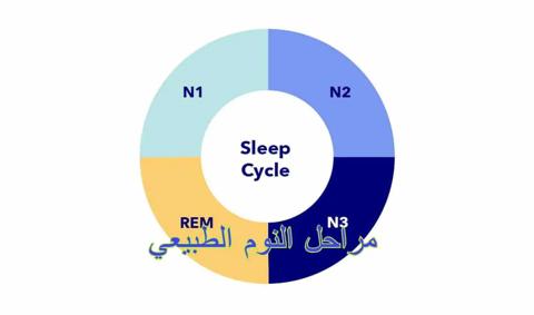 مراحل النوم الطبيعي وتعاقبها عند الإنسان السليم